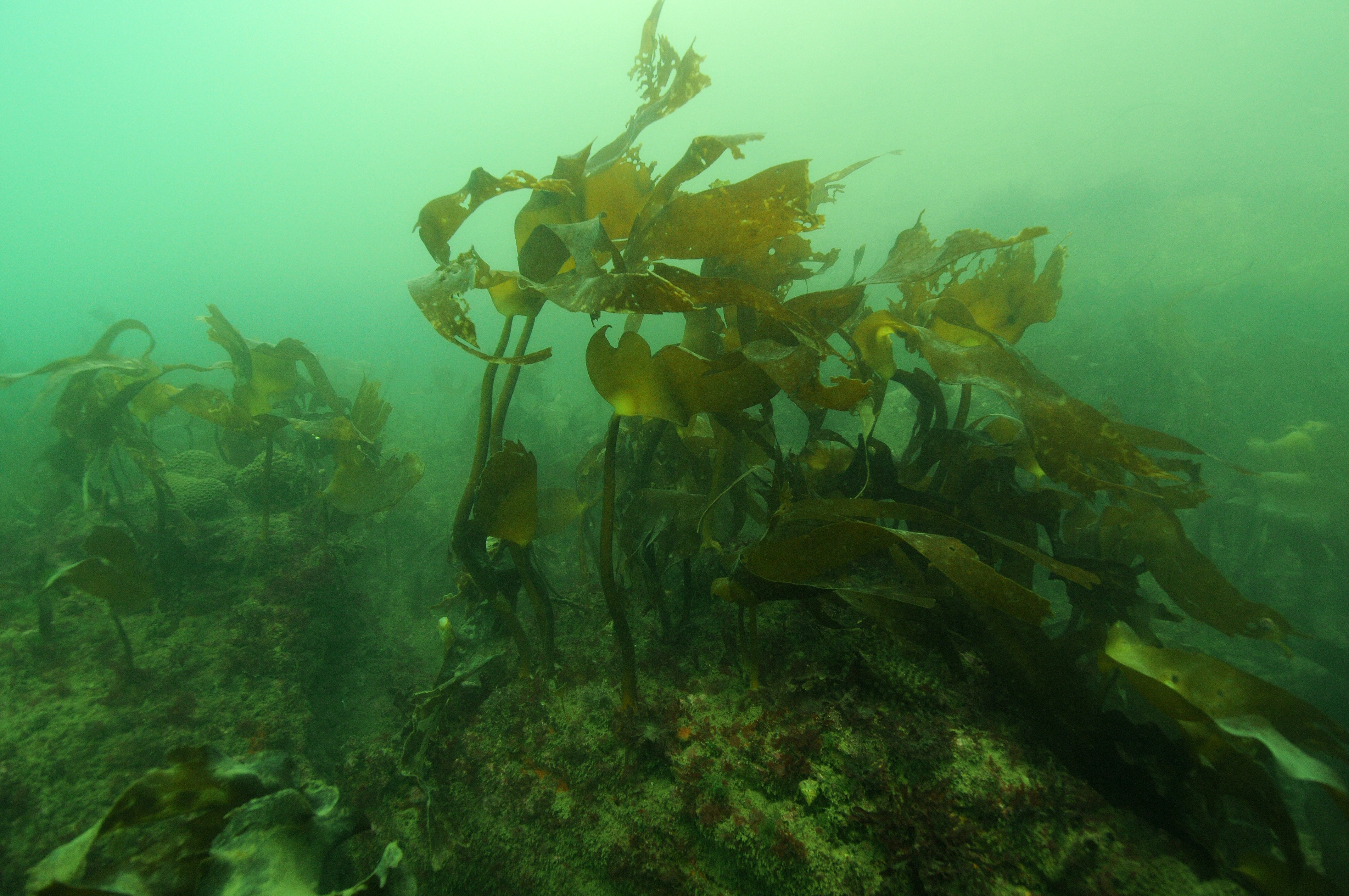 2012, Renewable Energy Systems Ltd, Zone 9 Celtic Array, Preliminary Aviation Assessment